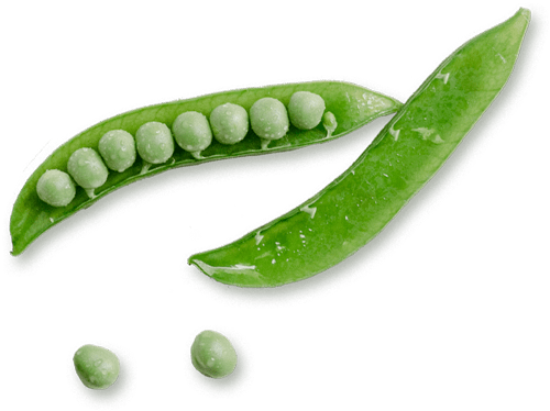 zielony groszek wysypujący się ze strączka